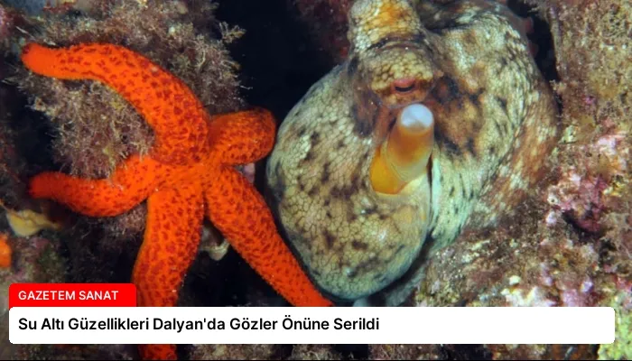 Su Altı Güzellikleri Dalyan’da Gözler Önüne Serildi