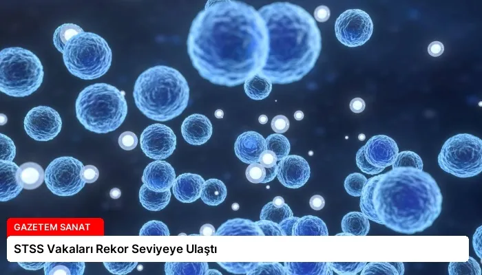 STSS Vakaları Rekor Seviyeye Ulaştı