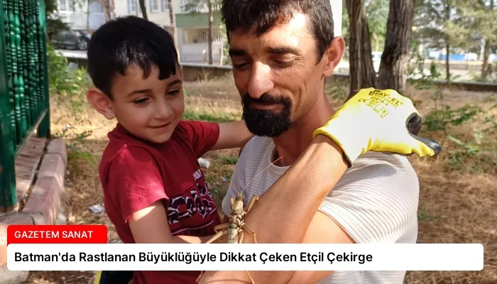 Batman’da Rastlanan Büyüklüğüyle Dikkat Çeken Etçil Çekirge