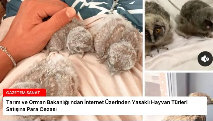 Tarım ve Orman Bakanlığı’ndan İnternet Üzerinden Yasaklı Hayvan Türleri Satışına Para Cezası