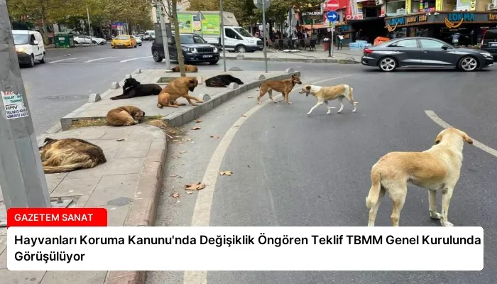 Hayvanları Koruma Kanunu’nda Değişiklik Öngören Teklif TBMM Genel Kurulunda Görüşülüyor