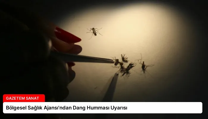 Bölgesel Sağlık Ajansı’ndan Dang Humması Uyarısı