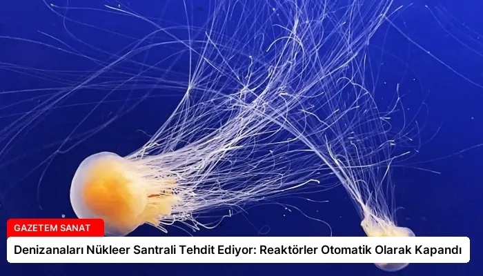 Denizanaları Nükleer Santrali Tehdit Ediyor: Reaktörler Otomatik Olarak Kapandı