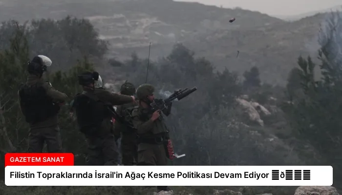 Filistin Topraklarında İsrail’in Ağaç Kesme Politikası Devam Ediyor ⏬👇